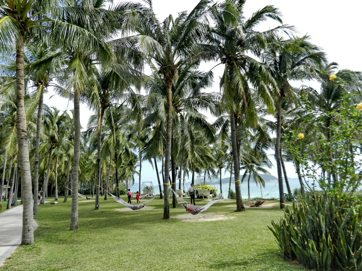 Redes penduradas entre coqueiros no gramado da Baía de Yalong, com o mar e uma península verde ao fundo (Photo: Tanya Dedyukhina via Wikimedia Commons)