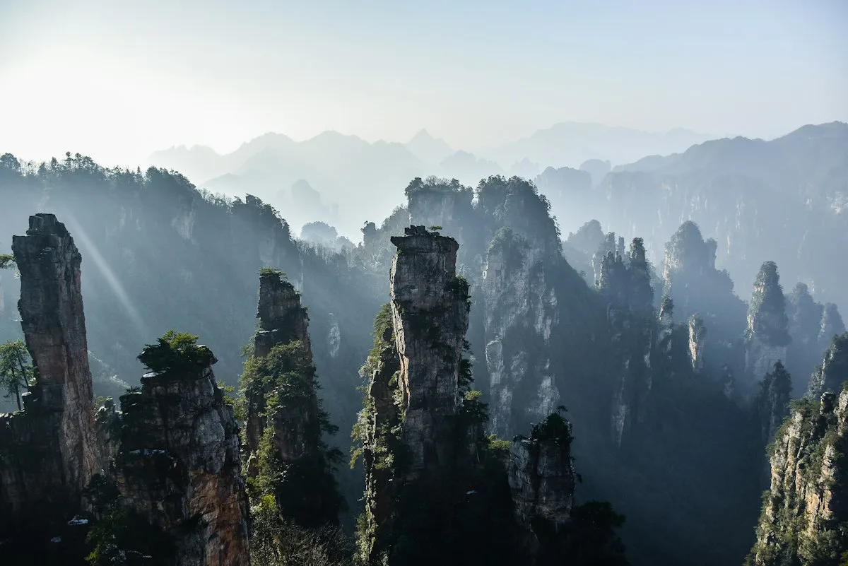 Bosque de pilares de arenisca de cuarzo al amanecer, con la niebla llenando el valle en el Parque Forestal Nacional de Zhangjiajie