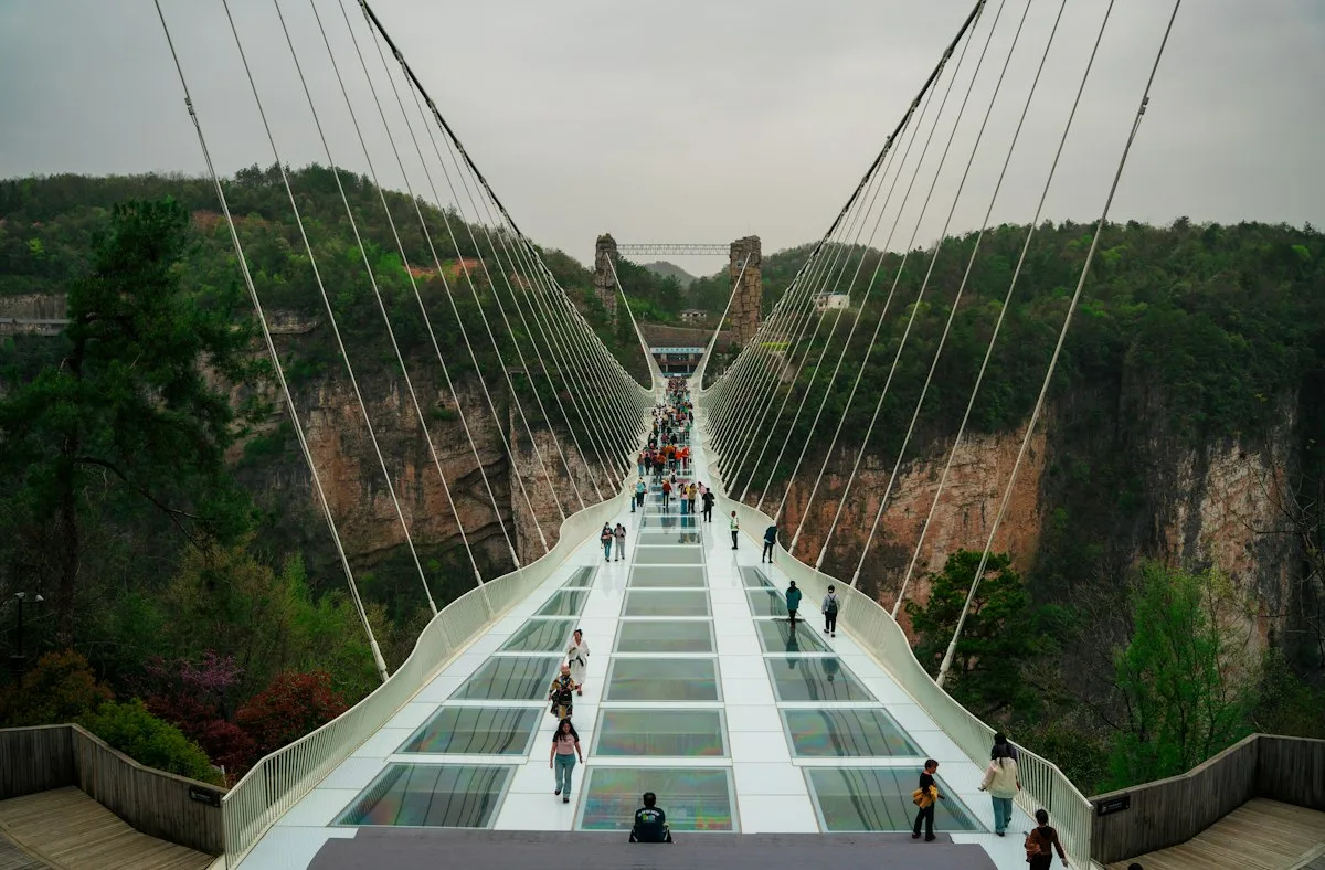 Visitantes atravessando o piso transparente da ponte estaiada de vidro no Grande Cânion de Zhangjiajie, com paredes do desfiladeiro e floresta dos dois lados
