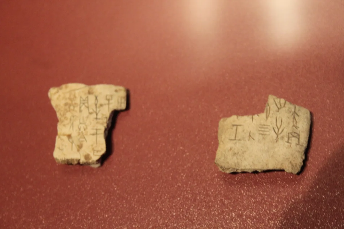 Dois fragmentos de osso oracular Shang, gravados com caracteres e perfurados com cavidades, sobre uma superfície vermelha de exposição (Photo: Gary Lee Todd, Ph.D. via Wikimedia Commons)