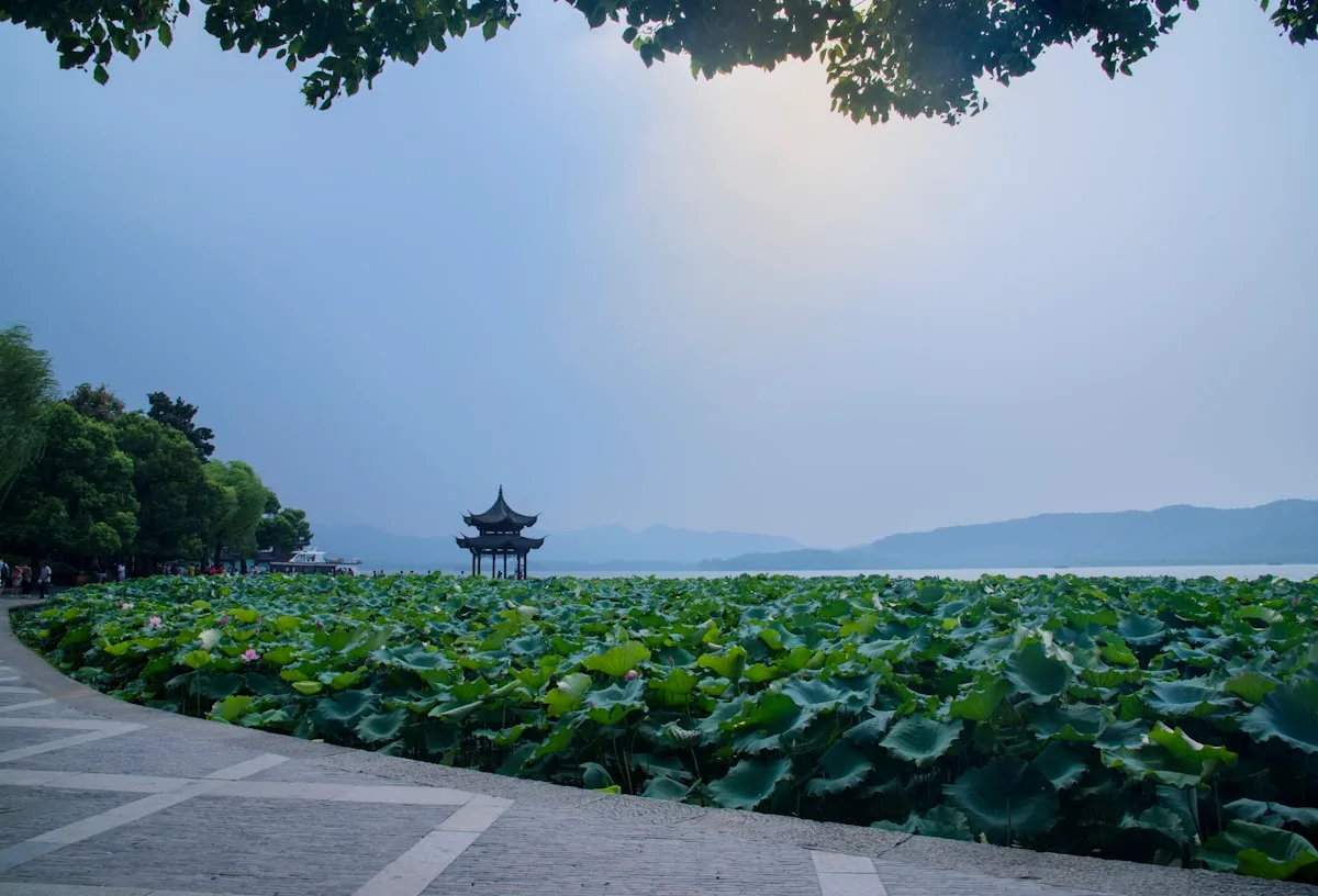 West Lake in Hangzhou with lotus leaves in the foreground and a pavilion and hills across the water