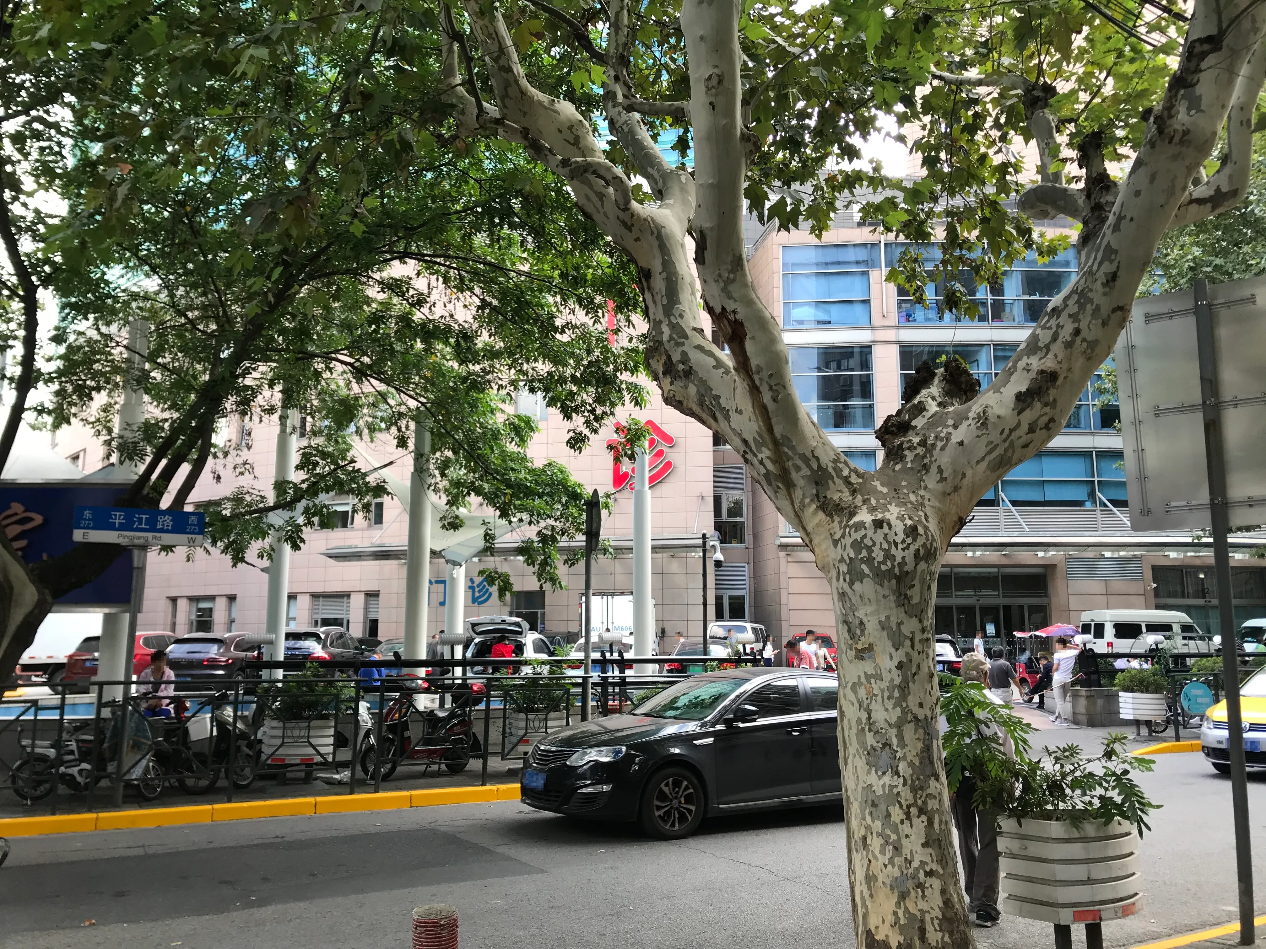 A street view of Shanghai Zhongshan Hospital's outpatient building seen behind plane trees along a busy road (Photo: そらみみ via Wikimedia Commons)