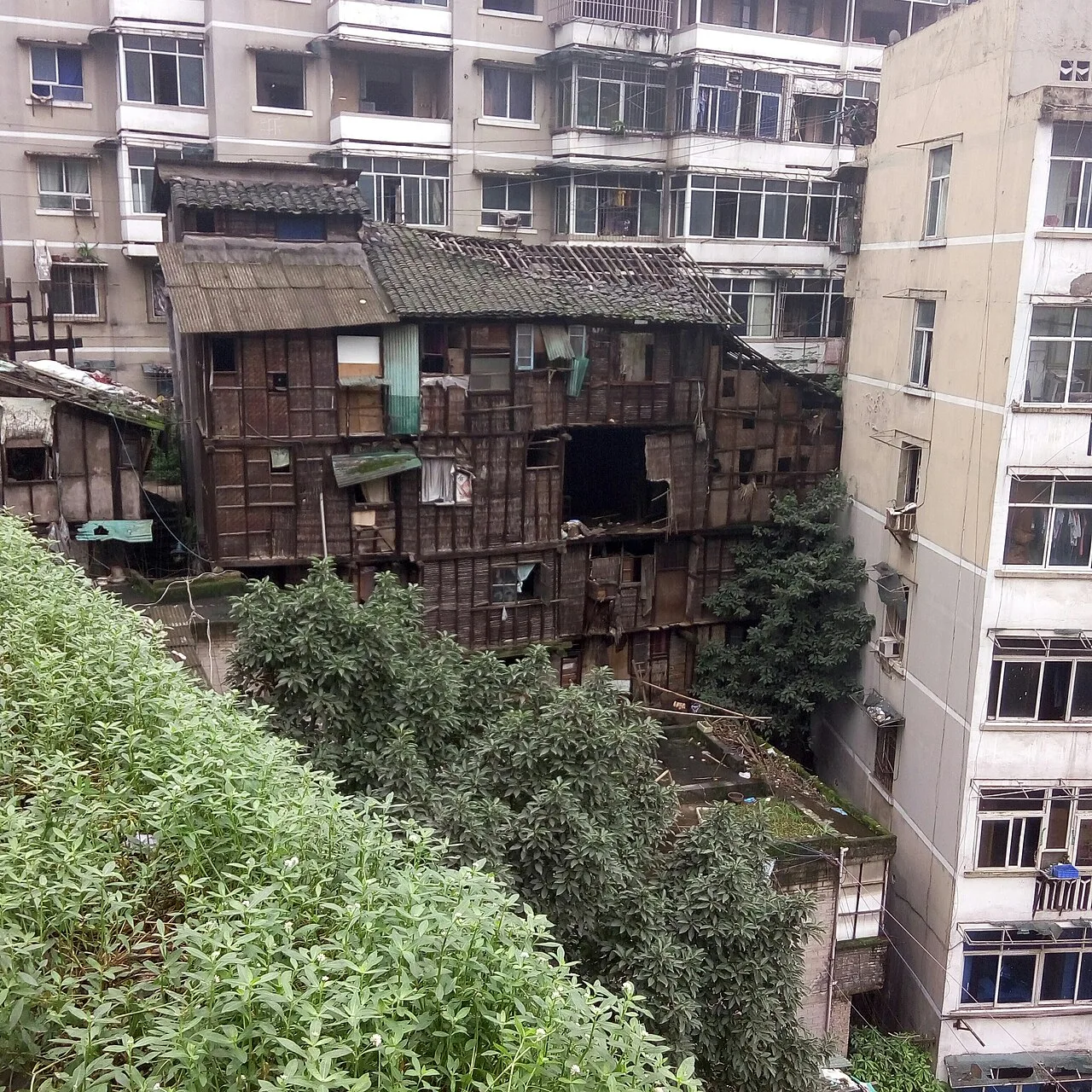 Old wooden stilt houses wedged between modern residential towers, the vertical hillside streetscape that keeps Chongqing climbing (Photo: 广州阿沾 via Wikimedia Commons)