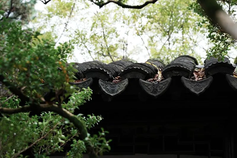 留园花窗框景:透过八角窗看到远处的假山和亭台