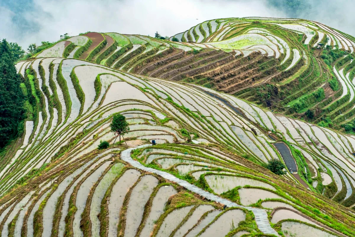 Flooded Longji rice terraces in Guangxi after rain, layered paddies mirroring the sky across the mountainside