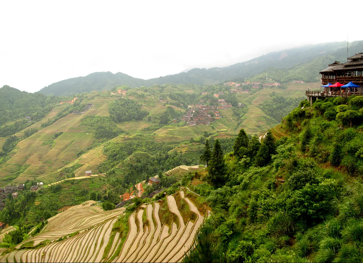 A wide panorama of the Longji rice terraces seen from a hillside stilt-house lookout, fields of layered paddies climbing the valley walls (Photo: Rutger van der Maar via Wikimedia Commons)