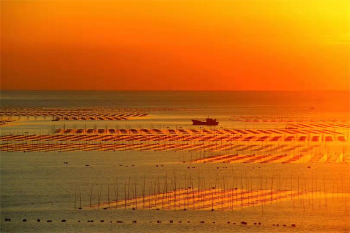 xiapu beiqi mudflat sunrise
