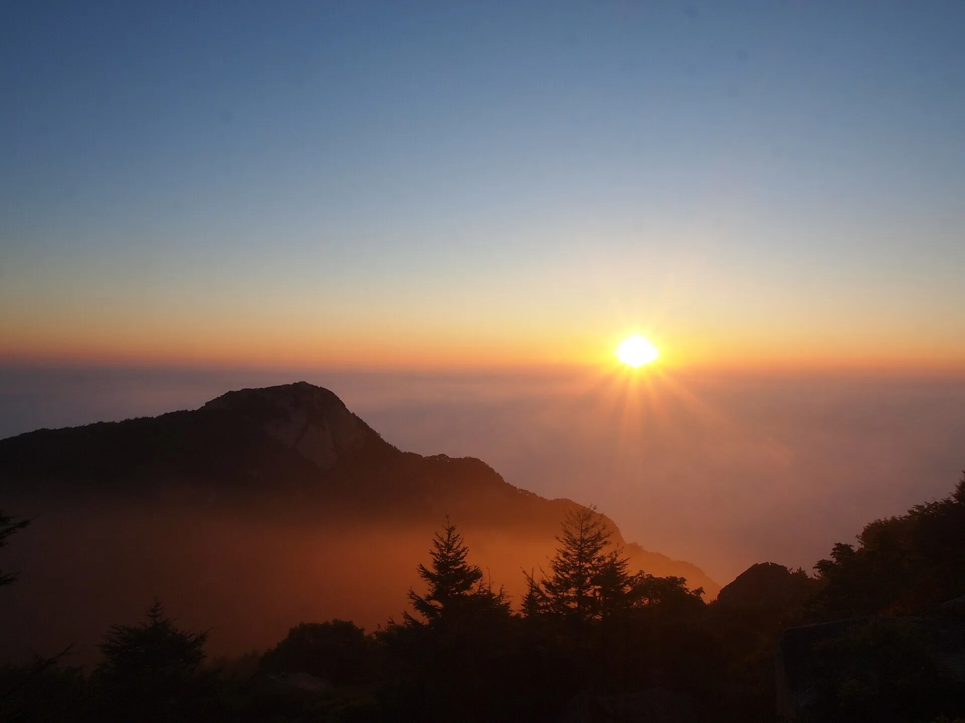 El sol saliendo sobre un mar de nubes espeso en el monte Tai, con un pico oscuro y pinos en silueta en primer plano (Foto: rheins vía Wikimedia Commons)