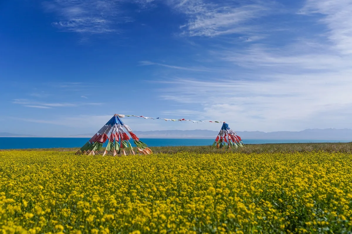 Two Tibetan prayer-flag towers standing in yellow rapeseed flowers beside the blue water of Qinghai Lake with mountains in the distance