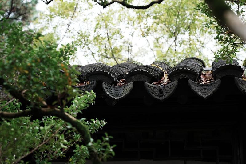 留园花窗框景:透过八角窗看到远处的假山和亭台