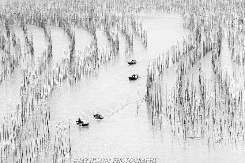  (Photo: Jay Huang from Pleasanton, USA)