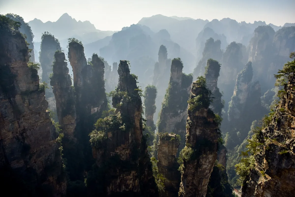 Pilares de arenisca de cuarzo de Zhangjiajie elevándose entre la niebla matinal, el paisaje real que inspiró las montañas flotantes de Avatar