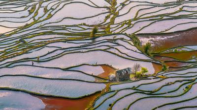 Terraced rice fields reflecting the sky at sunset — summer in China's countryside