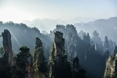 Floresta de pilares de arenito quartzito ao nascer do sol, com névoa preenchendo o vale no Parque Florestal Nacional de Zhangjiajie